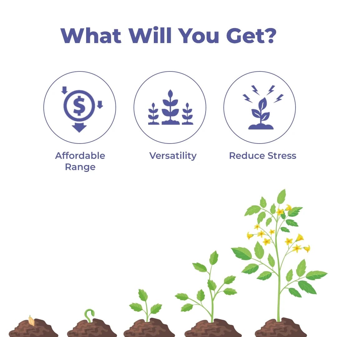 Spring Flower - Special Plant Bio-Stimulant for Enhancing Flowering and Promoting Rapid Growth - Image 3