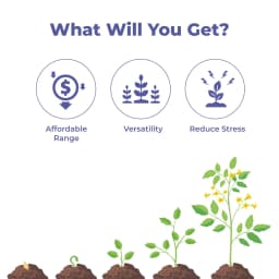 Spring Flower - Special Plant Bio-Stimulant for Enhancing Flowering and Promoting Rapid Growth 3