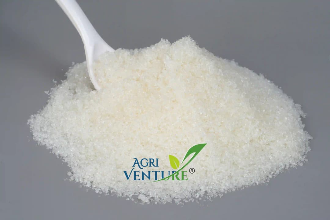 Agriventure Magnesium Sulphate 9.5%, Imported 100% Water Soluble Fertilizer, Increases Greenness and Ultimately Results in Yield and Crop Quality - Image 5