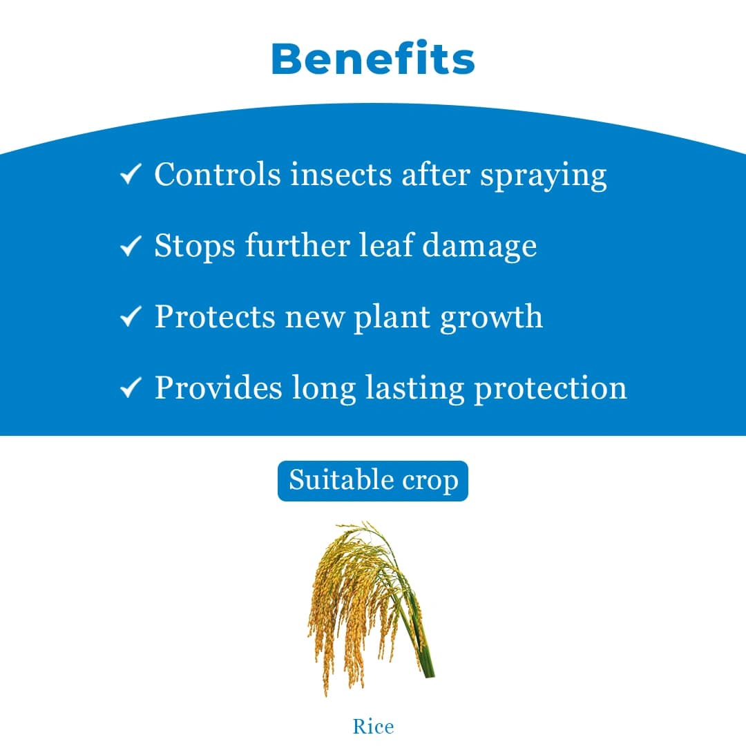 Krishigiri FEZONIL Buprofezin 23.1% + Fipronil 3.85% SC Insecticide, Effective For Pest Control In Rice Crop - Image 4