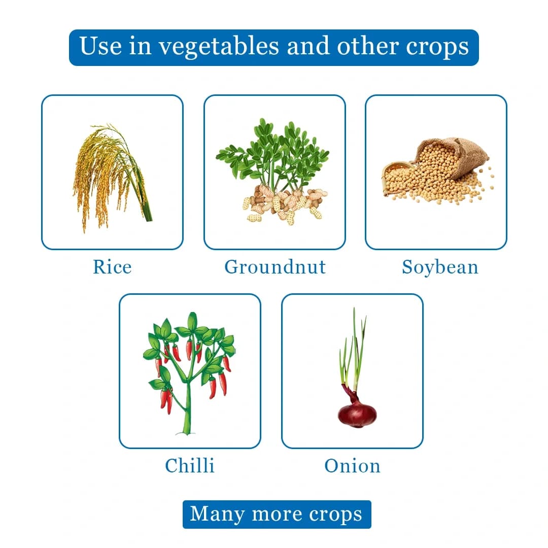 Agriventure Tebcon Tebuconazole 25.9 % EC Fungicide, Broad Spectrum Systemic Fungicide, Use For Rice, Chilli, Groundnut, Onion, Soybean - Image 4