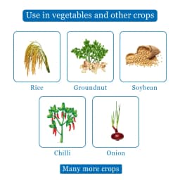 Agriventure Tebcon Tebuconazole 25.9 % EC Fungicide, Broad Spectrum Systemic Fungicide, Use For Rice, Chilli, Groundnut, Onion, Soybean 4