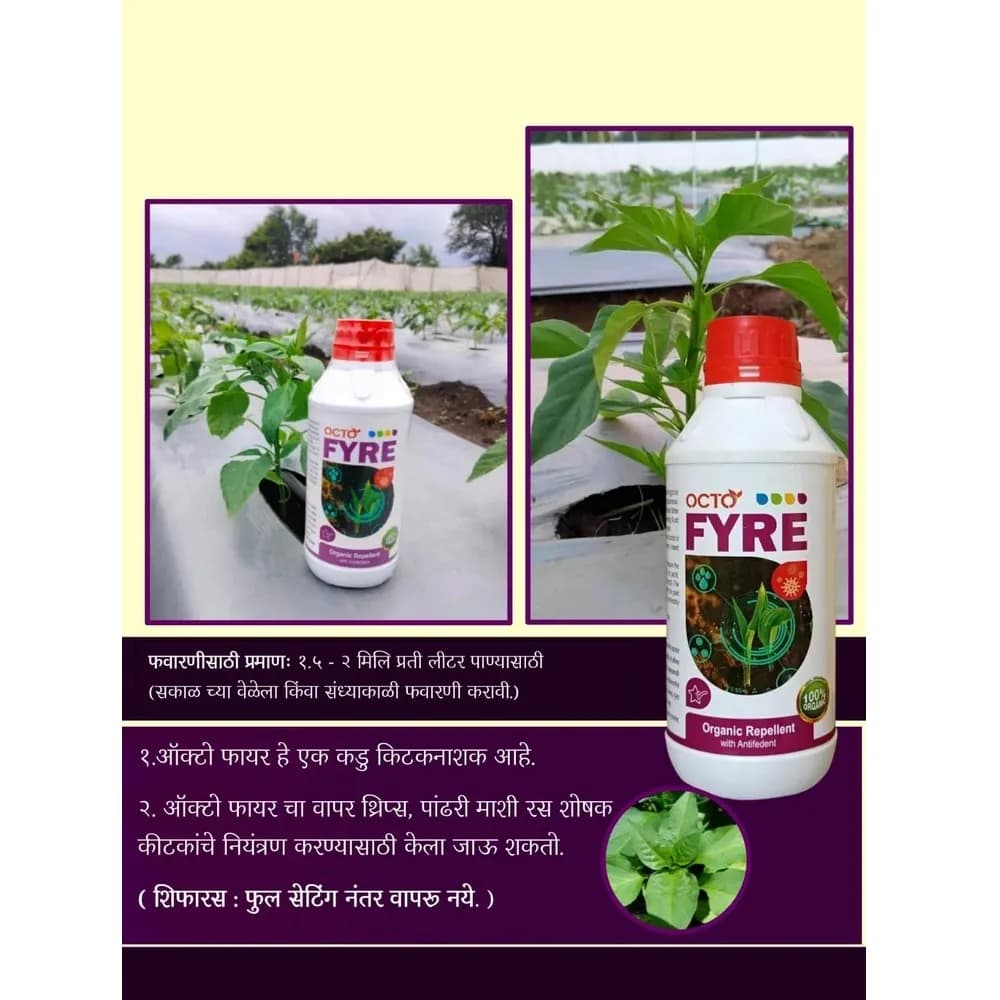 Octopus Octo Fyre Organic Pesticides, Biodegradable Solution For Thrips, Whitefly & Sucking Pests - Image 3