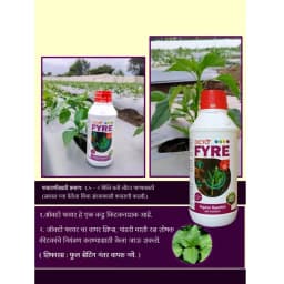 Octopus Octo Fyre Organic Pesticides, Biodegradable Solution For Thrips, Whitefly & Sucking Pests 3