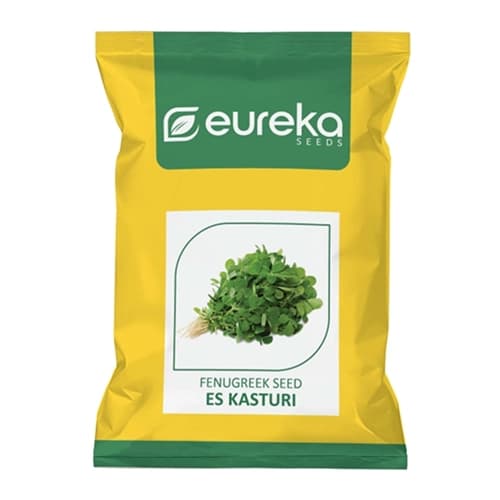 Eureka ES KASTURI Improved Hybrid Fenugreek Seeds, Dark Green Leafy, Suitable For Kharif And Rabi