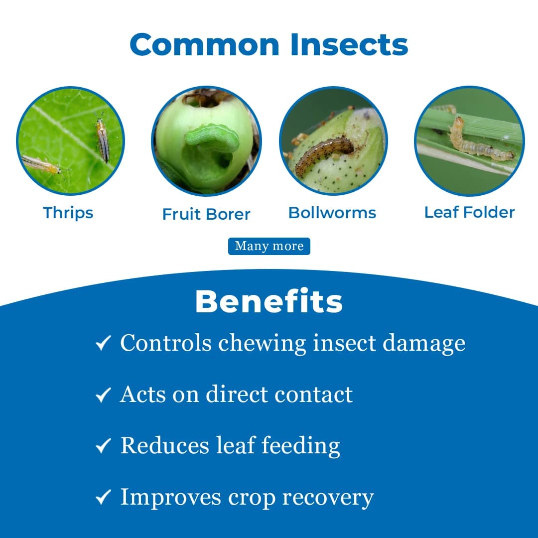 Agriventure Lamcy Insecticide - Image 3