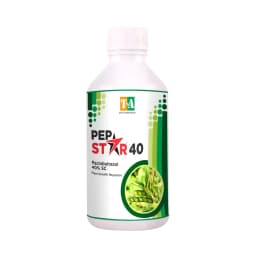 Titan Agritech PEP STAR 40 Paclobutrazol 40% SC Plant Growth Regulator, Effective For Mango And Fruit Trees 1