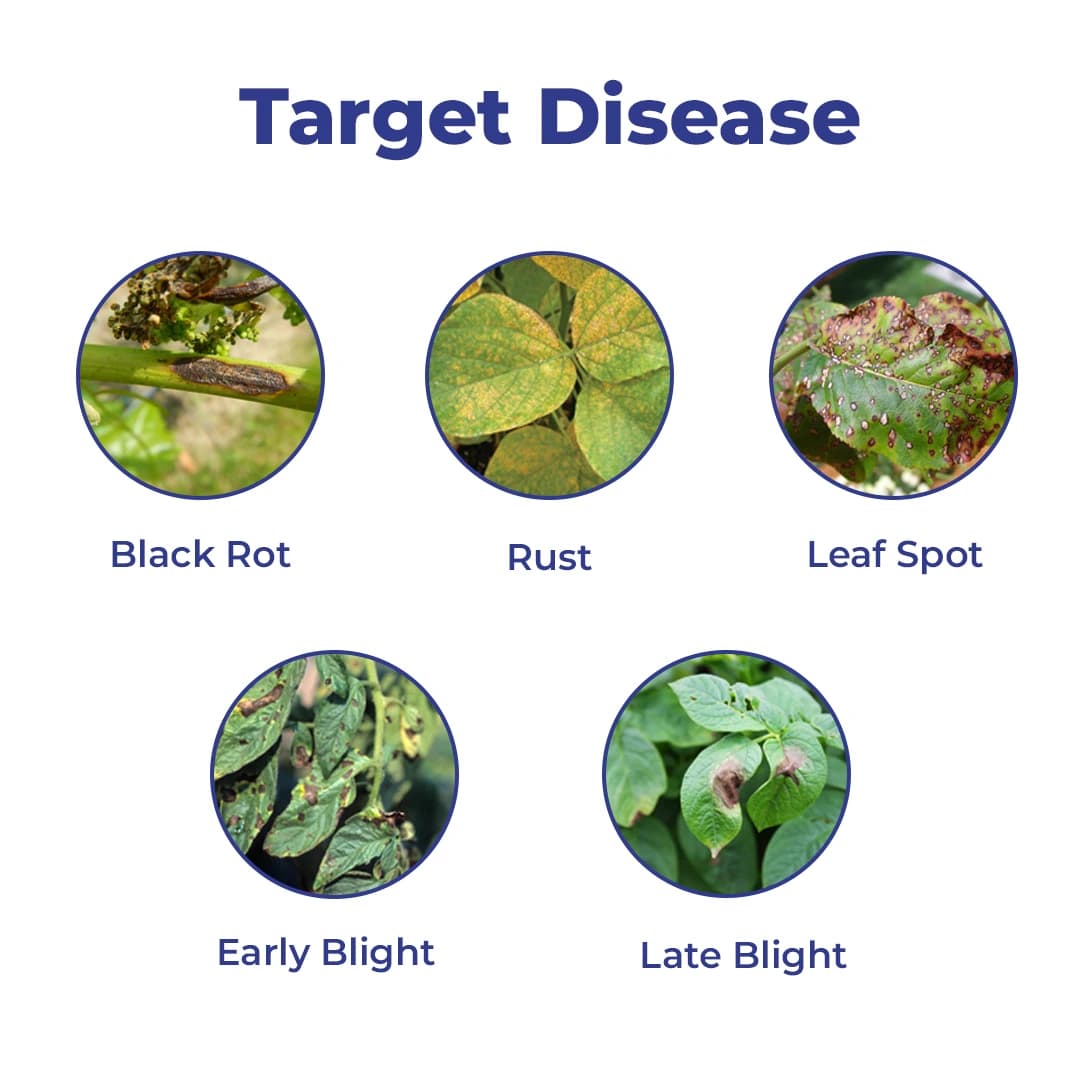BACF Bcoper Copper Oxychloride 50% WG, Contact Action, Broad Spectrum Fungicide - Image 3