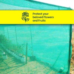 Mipatex Garden Shade Net 75% Shade, UV Stabilized, Sun Protected, Mipatex Green shade Net is made of 100% UV stabilized high-density polyethylene 3