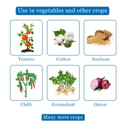 BACF EVOKE - Emamectin Benzoate 5% SG Effective Insecticide , Controls all types of Gardening and Agricultural Insects. 4