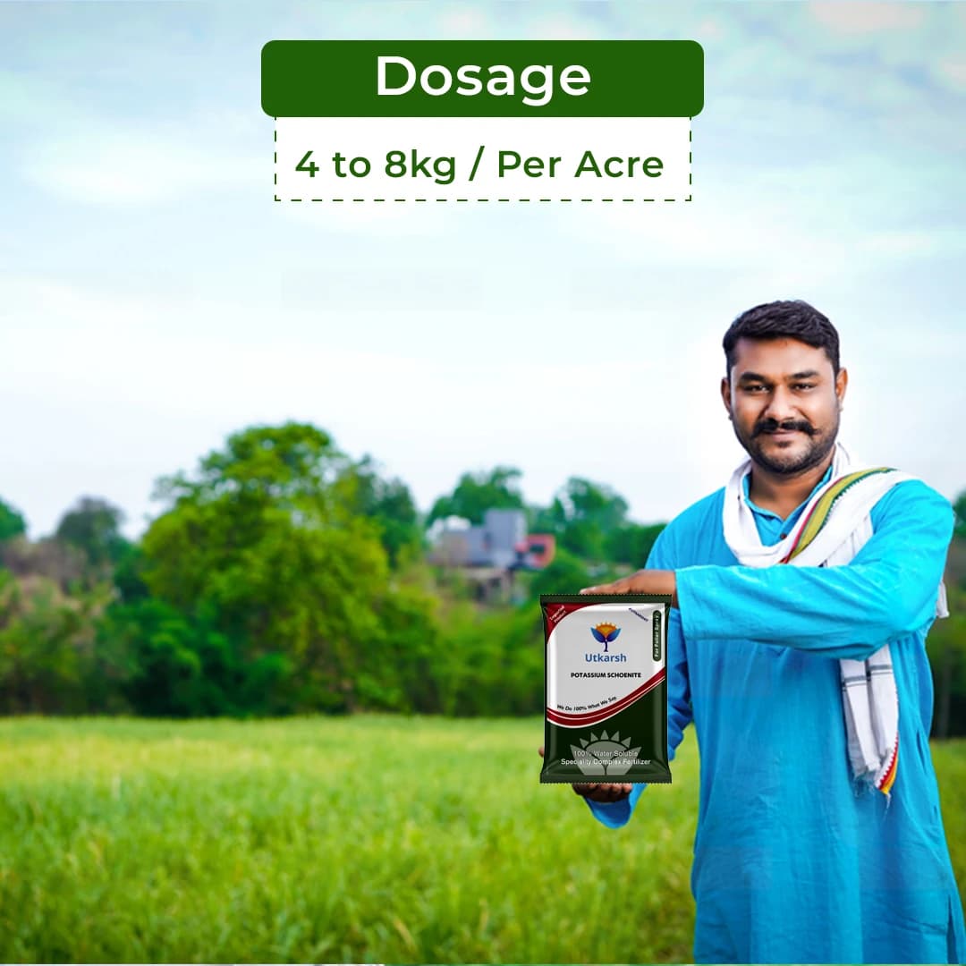 Utkarsh Potassium Schoenite Fertilizer - Image 5