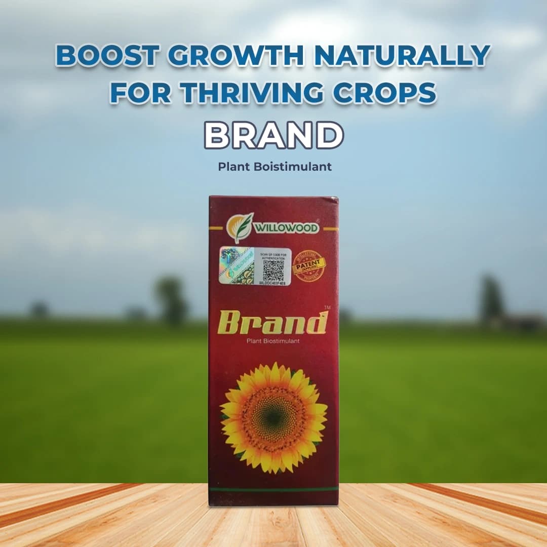 Willowood Brand Stigmasterol And Campesterol PGR, Aerosols Spray, Liquid Concentrate - Image 2