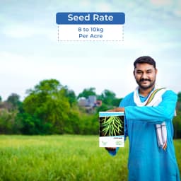 Iris Hybrid Cluster Beans Vegetable Seeds, Guar Ke beej, Guar Na Bee, Best In Germination (20 Seeds) 5