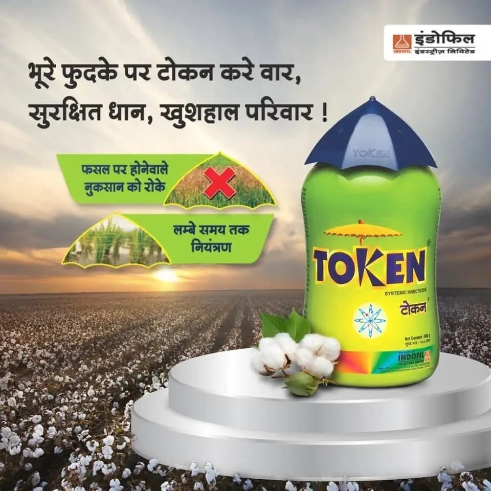 Indofil Token Dinotefuran 20% SG, Highly Systemic Broad Spectrum Insecticides. - Image 2