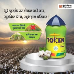 Indofil Token Dinotefuran 20% SG, Highly Systemic Broad Spectrum Insecticides. 2