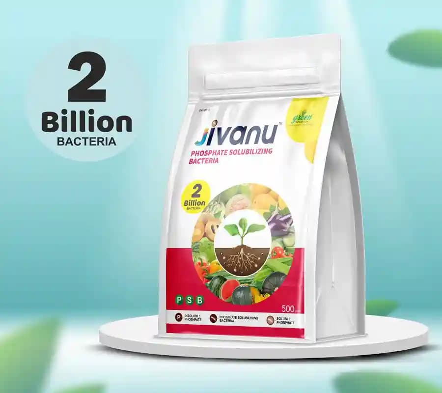 Jivanu (Potassium Solubilizing and Mobilizing Bacteria KSB, KMB) Bio Fertilizers - Image 4