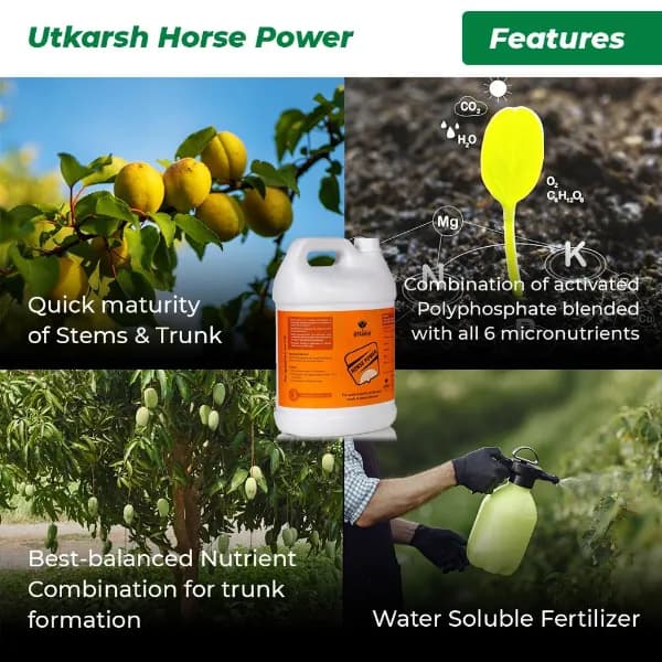 उत्कर्ष हॉर्स पावर - (अमोनियम पॉलीफॉस्फेट उर्वरक MCQ 10:34:00), पौधों और पेड़ों के तने और तने की शीघ्र परिपक्वता के लिए - Image 3
