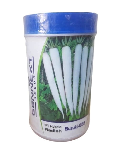 Gennext Suzuki 555 F1 Hybrid White Radish Seeds, High Yielding Variety, Pure White Root - Image 1