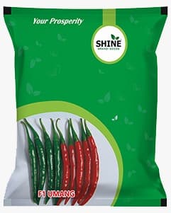 Chilli Umang F1 Hybrid - Shine Brand Seed, Mirchi Ka Beej, Vegetable Seeds. - Image 1