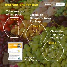 Gaiagen Pheromone Fruit Fly Lure (Bactrocera dorsalis) And Insect Fly Trap, IMO Certified 4