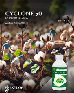 Exylon Cyclone 50 Chlorpyriphos 50% EC Insecticide, Broad-Spectrum, Effective Sucking And Chewing Pests For Crops 2