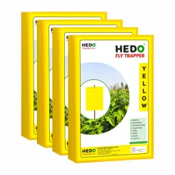 HEDO Eco A4 Size Yellow Sticky Trap For The Insects, Best For Organic Vegetable And Fruits Farming Pest Control 3