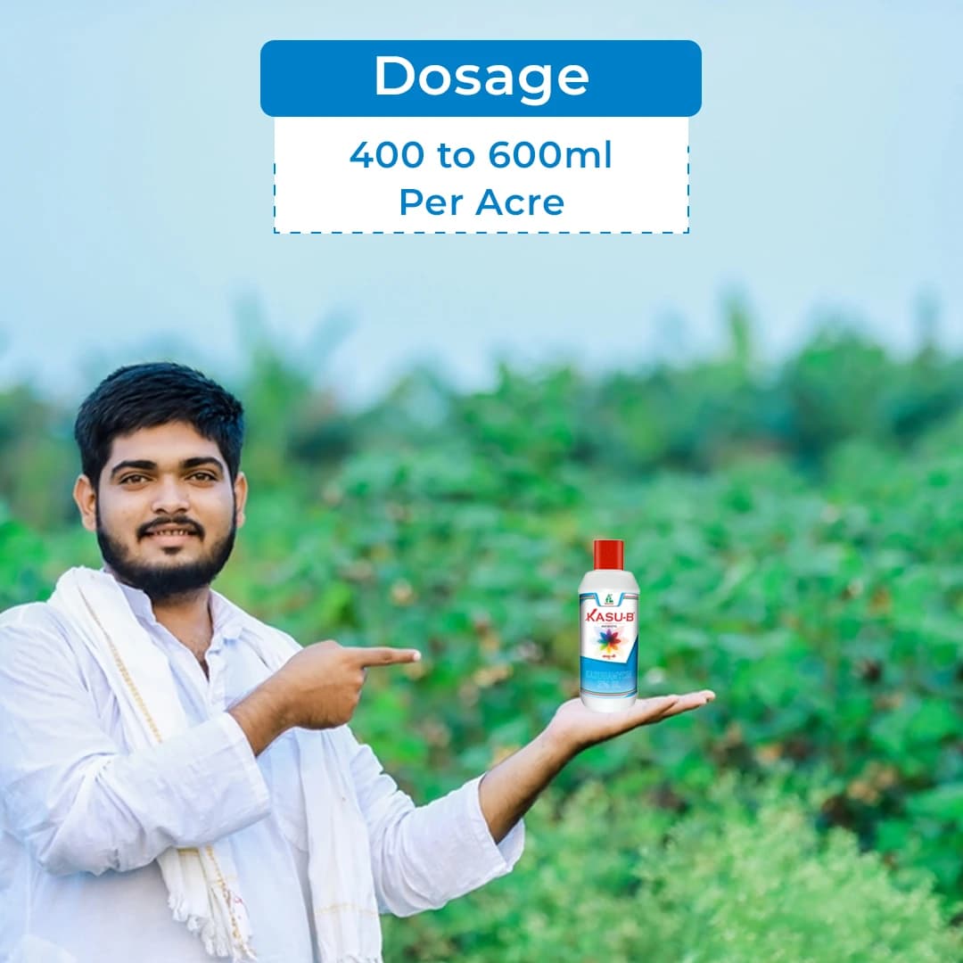 Dhanuka KASU-B Kasugamycin 3% SL Fungicide, Broad Spectrum, Effective For Fungal And Bacterial Diseases Control In Multiple Crop - Image 5