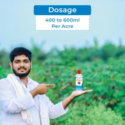 Dhanuka KASU-B Kasugamycin 3% SL Fungicide, Broad Spectrum, Effective For Fungal And Bacterial Diseases Control In Multiple Crop 5