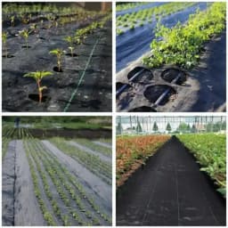 Singhal 90 GSM Garden Weed Control Barrier Sheet Mat, Landscape Fabric, Heavy Duty Weed Block Gardening Mat For Gardens (Black) 12