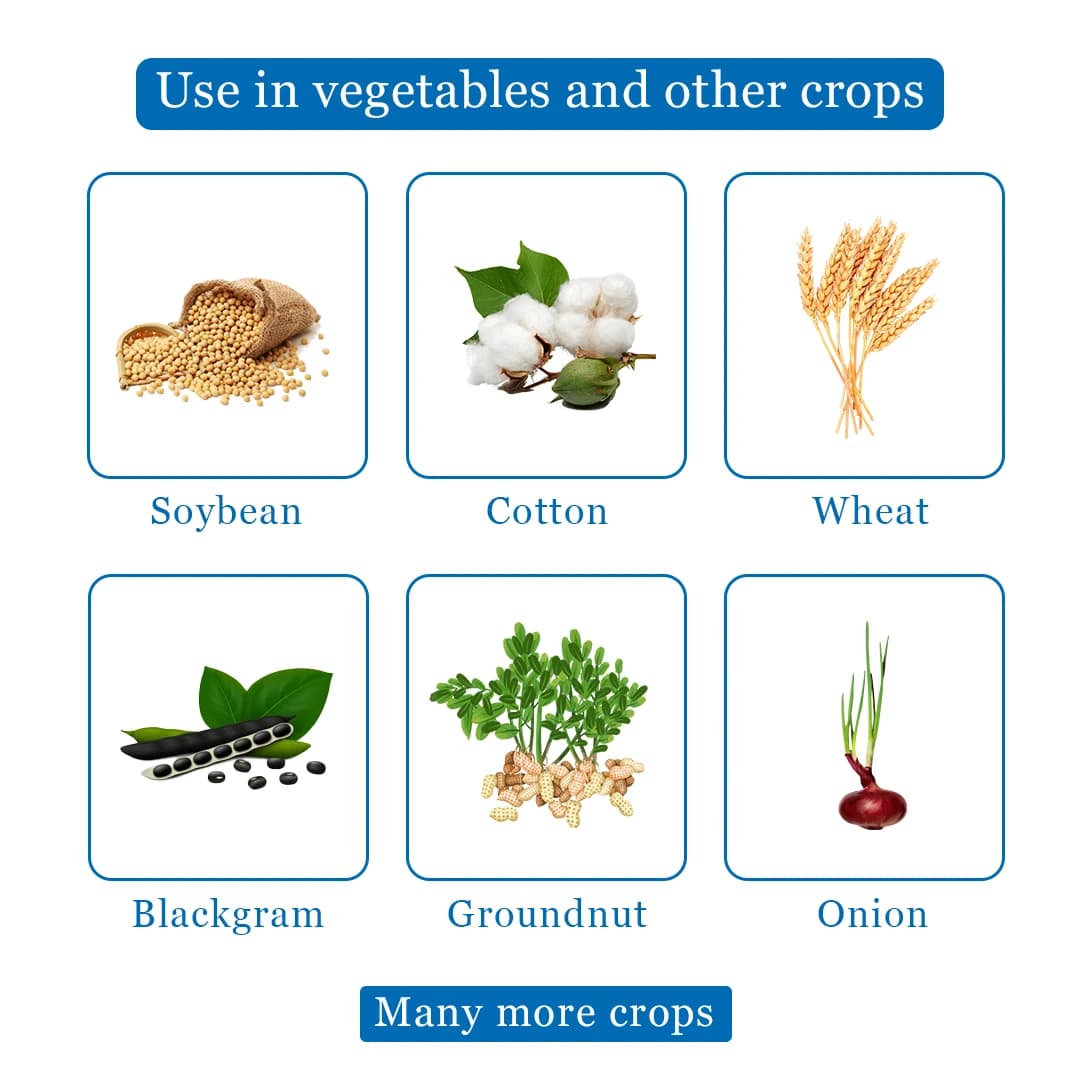 Strom+ Pendimethalin 30% EC Herbicide , Control Weeds Like Echinochloa Spp., Euphorbia Hirta, Amarnanthus Viridis, Portulaca Oleracea etc. - Image 4