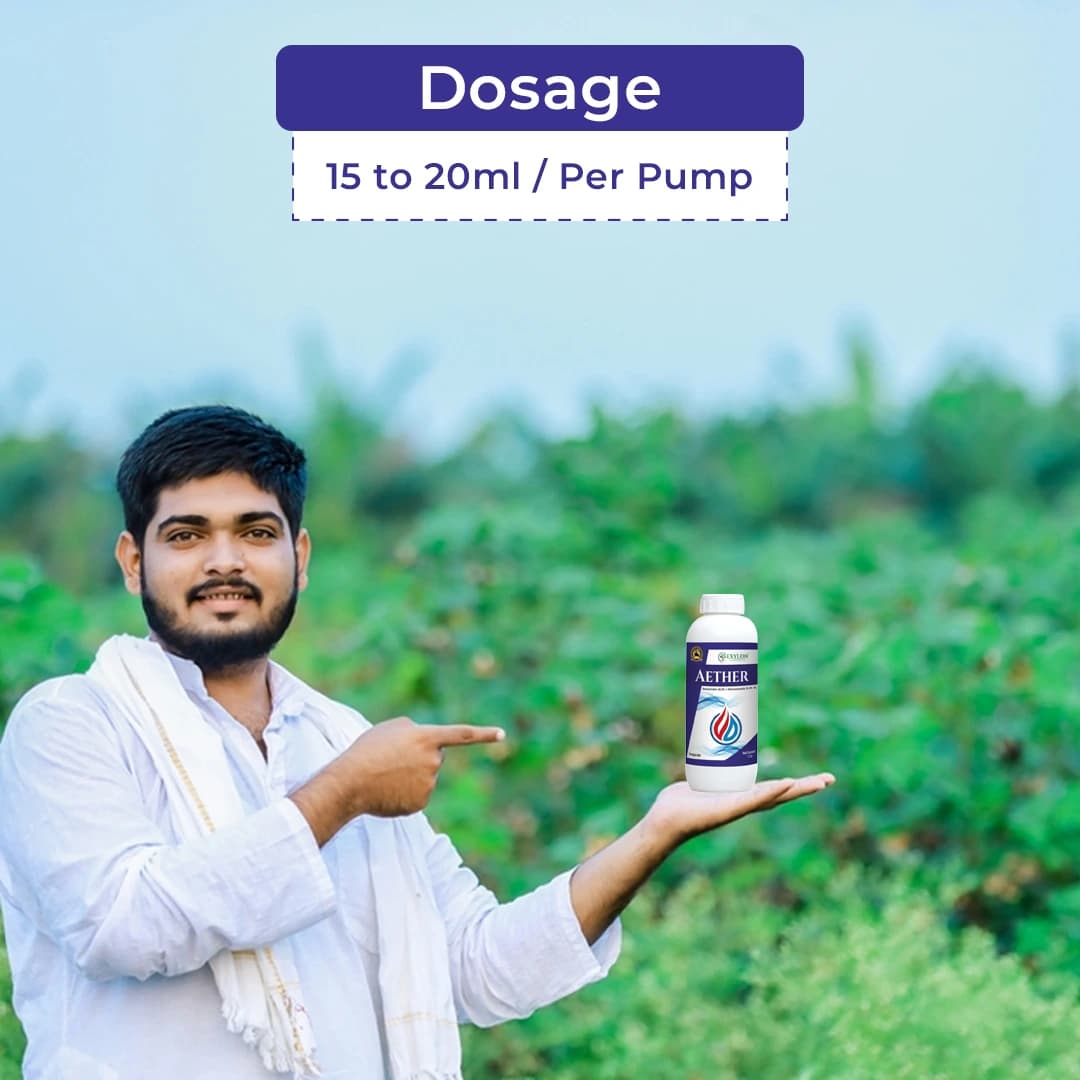 Exylon Aether Fungicide - Azoxystrobin 18.2% + Difenoconazole 11.4% SC - Image 5