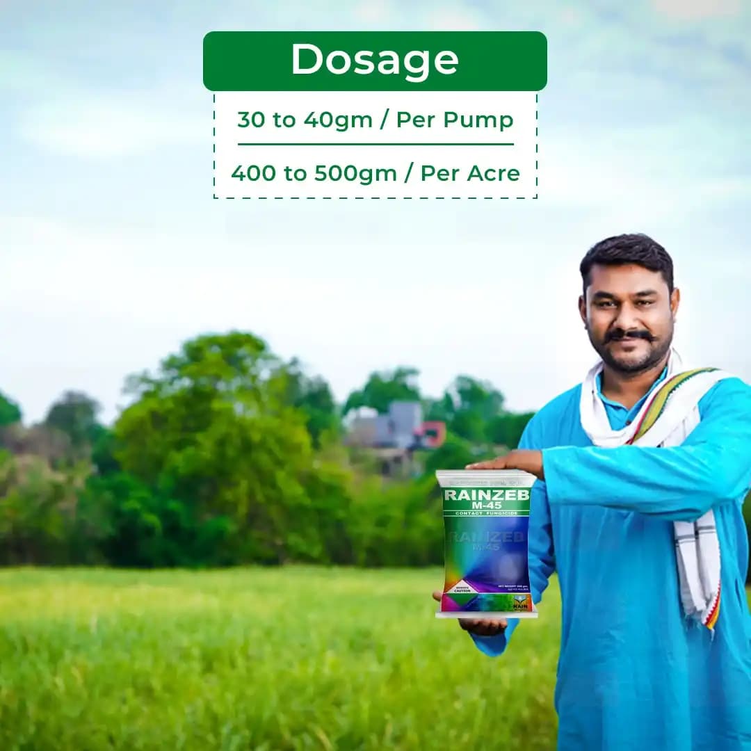 रेनज़ेब - एम45 मैन्कोज़ेब 75% WP फफूंदनाशक, भूरा और काला जंग, पत्ती का झुलसा, ब्लास्ट, पत्ती का धब्बा, प्रारंभिक झुलसा, टिप रोट को नियंत्रित करता है - Image 5