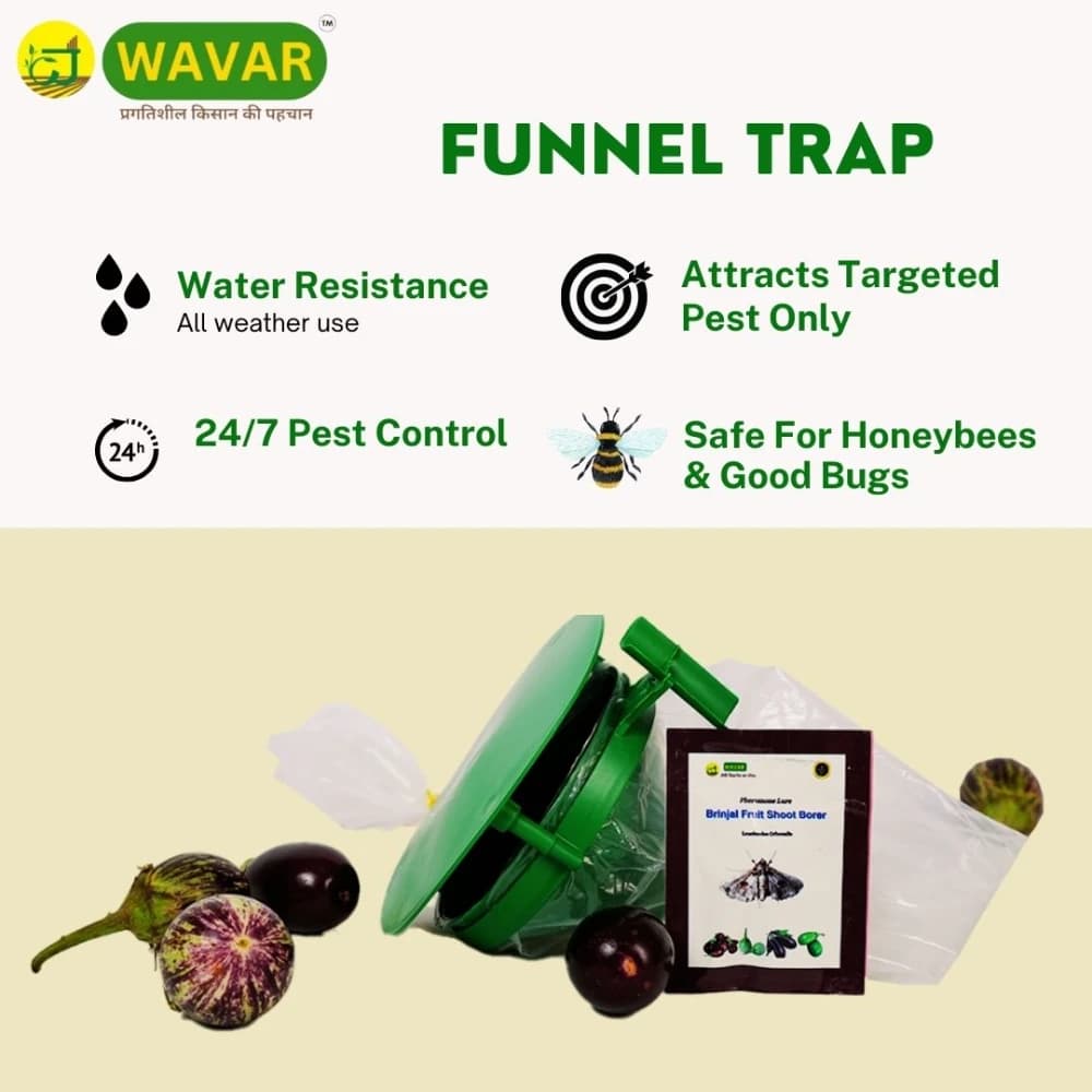 WAVAR Leucinodes Orbonalis Funnel Trap, Efficient For Brinjal Fruit Shoot Borer Pest, Effective Pest Management - Image 2
