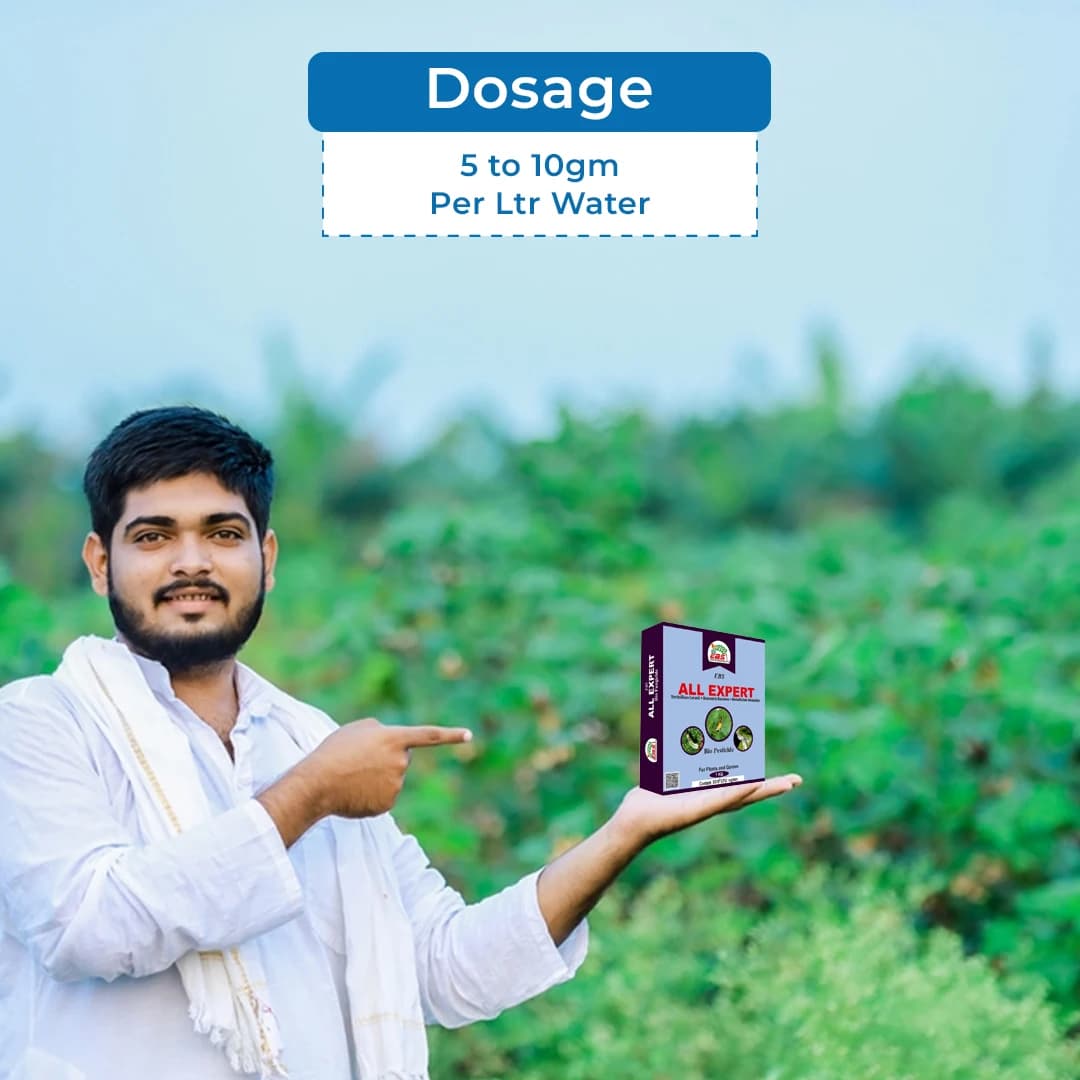 EBS All Expert (Verticillium Lecanii + Beauveria Bassiana + Metarhizium Anisopliae), 5x10^8 Control Aphids, Jassids, White Flies - Image 5