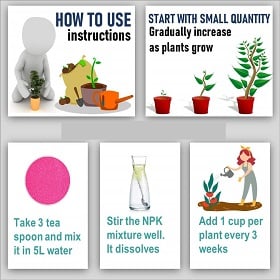 Greatindos GRADE A Premium Quality NPK 10:15:25 Hydroponic Fertilizer