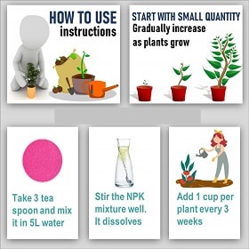 Greatindos GRADE A Premium Quality NPK 10:15:25 Hydroponic Fertilizer