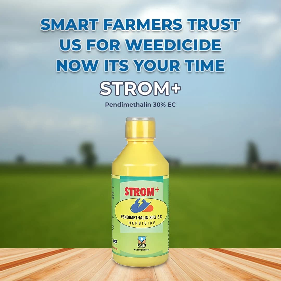 Strom+ Pendimethalin 30% EC Herbicide , Control Weeds Like Echinochloa Spp., Euphorbia Hirta, Amarnanthus Viridis, Portulaca Oleracea etc. - Image 2