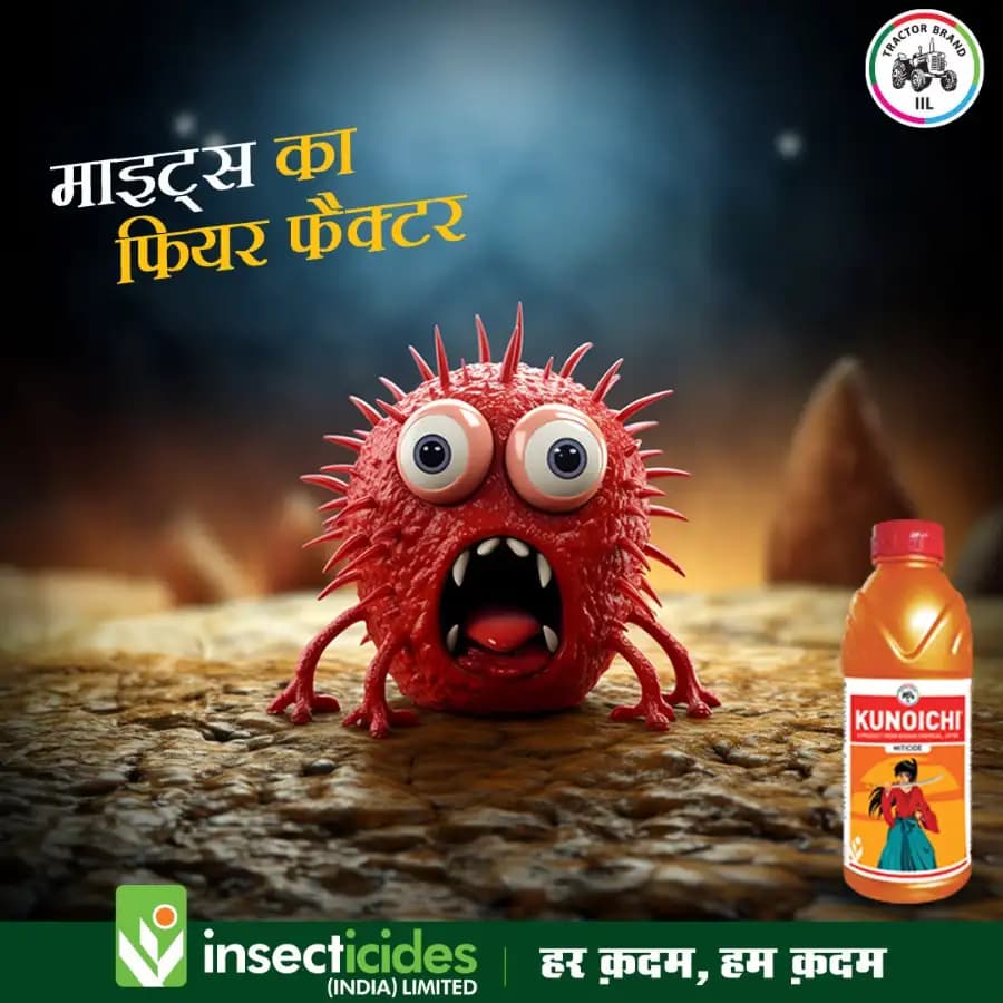 IIL Kunoichi Cyenopyrafen 30% SC Miticide, Efficient For Mite Control In Vegetables And Fruits - Image 4