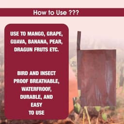 Radhe Mango Protection Growth Dual Layer Covers And Bags, (20 x 28 CM) Suitable For Alphonso & Kesar Mangoes (Brown) 3