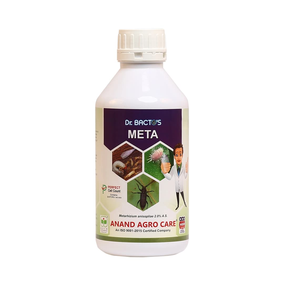 Dr. Bacto\'s Meta, Metarhizium Anisopliae, Effective On Root Weevils, Planthoppers, Japanese Beetle, Stem Borer, Black Vine Weevil, White Grubs etc. - Image 1