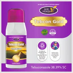 Agriventure Tebcon Gold Tebuconazole 38.39% SC Fungicide, Controls A Wide Range of Fungal Diseases, Including Powdery Mildew, Rusts. 2