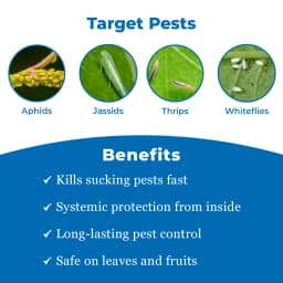 EBS Imidasecure Imidacloprid 17.8% SL Insecticide, Used To Protect Crops From Pests 3