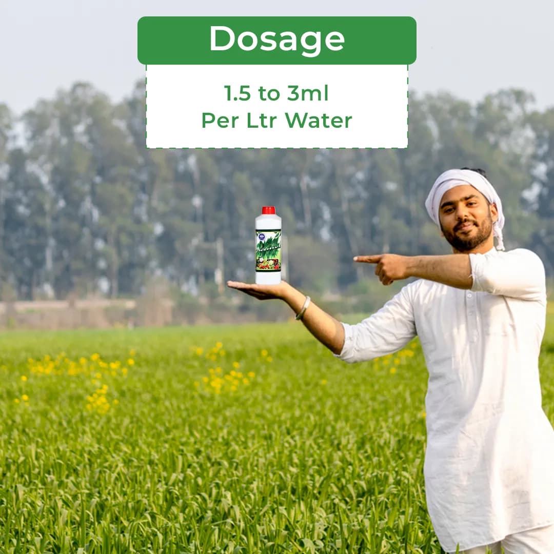 Neemol - Greenpeace Neem Oil Extract Azadirachtin 10000 PPM, Natural Insecticide. - Image 5