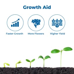 NACL Atonik Sodium Para Nitro phenolate 0.3% SL Plant Growth Regulator, Affects Various Stages Of The Development Of Plants 3