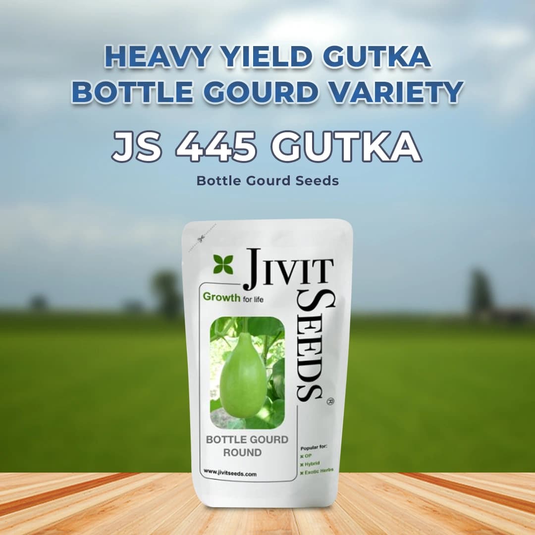 Jivit Hybrid F1 JS 445 Gutka Type Bottle Gourd Seeds, Straight Cylindrical Shape with Light Green Color - Image 2