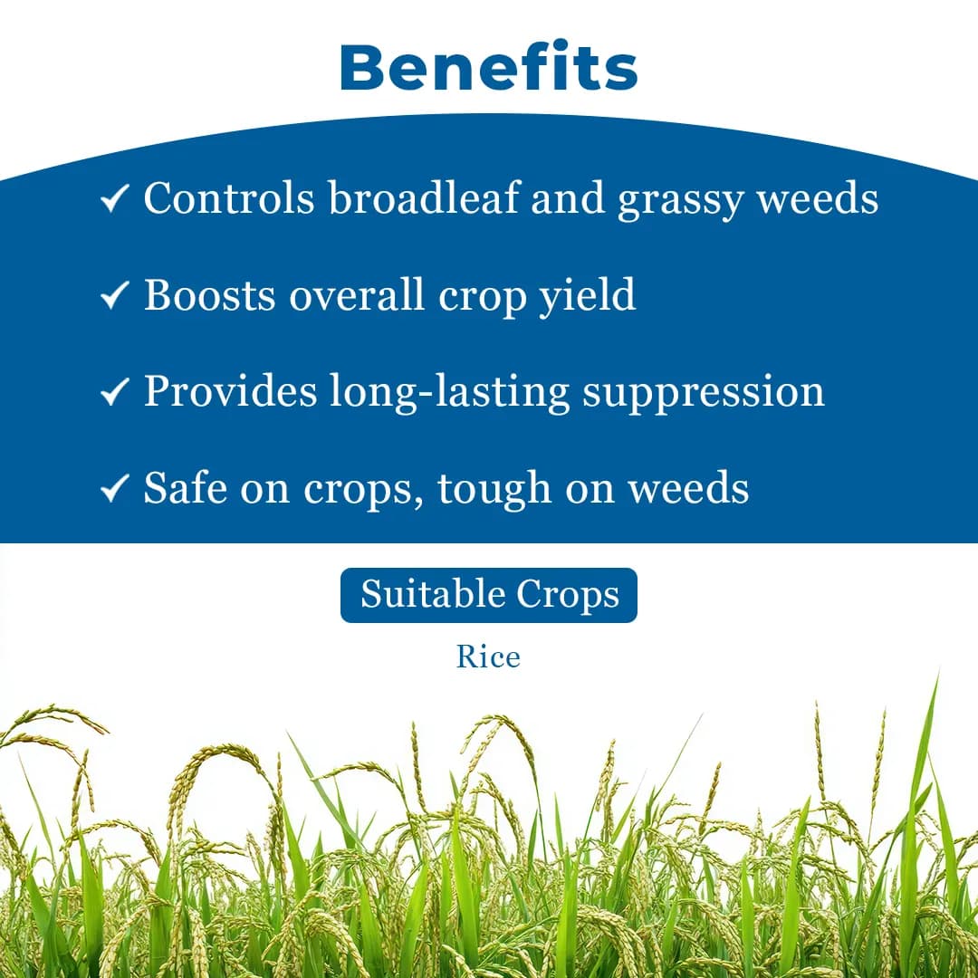 Nominee Gold Bispyribac Sodium 10% SC , Post Emergent Herbicide , Broad Spectrum Systemic Herbicide for all Types of Rice Cultivation - Image 4