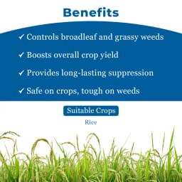 Nominee Gold Bispyribac Sodium 10% SC , Post Emergent Herbicide , Broad Spectrum Systemic Herbicide for all Types of Rice Cultivation 4