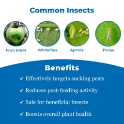 Pymetro Insecticide - Pymetrozine 50% WG 3