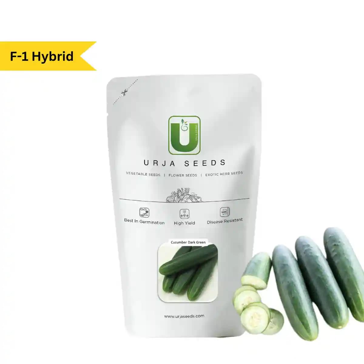 Urja F1 Hybrid Dark Green Cucumber Seeds, Dark Green Color, Best In Germination - Image 2