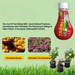 सुमितोमो तबोली पौधों की वृद्धि संवर्धक, पेड़ की वृद्धि को नियंत्रित करता है, और छंटाई लागत को घटाता है 7